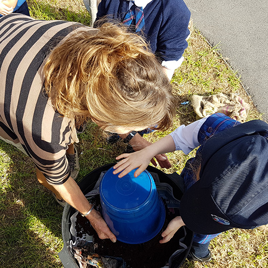  school kids compost